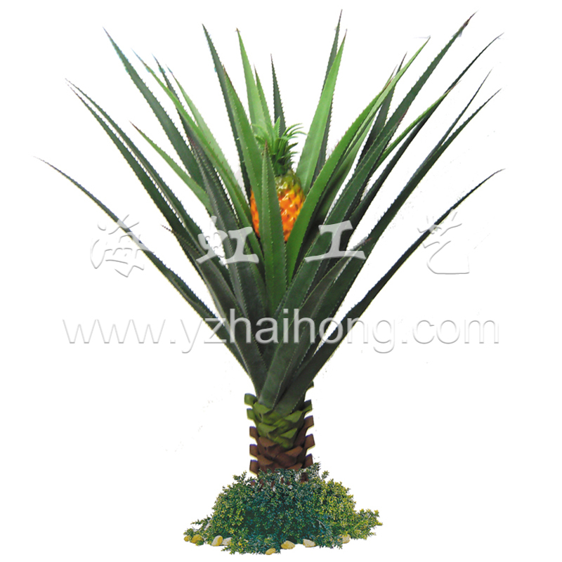 Small picture of pineapple tree -1